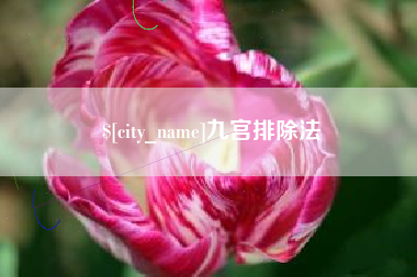 定安九宫排除法