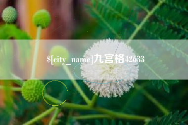定安九宫格42633