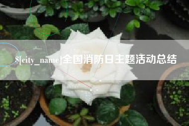 定安全国消防日主题活动总结
