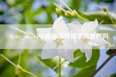 定安中国消防救援学院管严吗