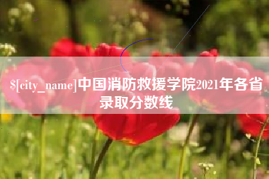 定安中国消防救援学院2021年各省录取分数线
