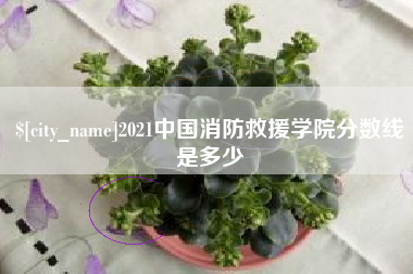 定安2021中国消防救援学院分数线是多少