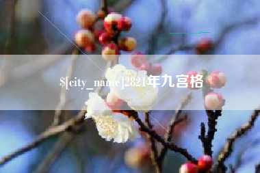 定安2821年九宫格