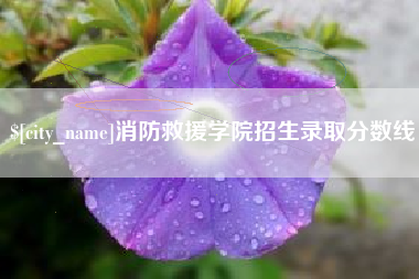定安消防救援学院招生录取分数线
