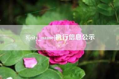 定安执行信息公示