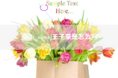 定安王子豪是怎么写
