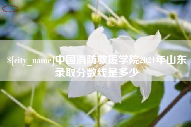 定安中国消防救援学院2021年山东录取分数线是多少