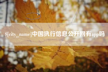 定安中国执行信息公开网有app吗