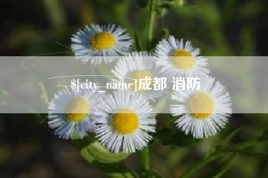 定安成都 消防