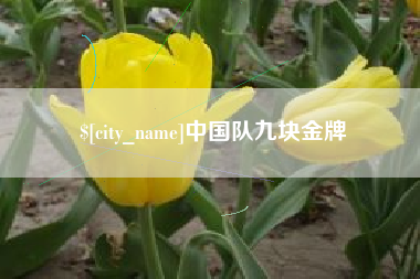 定安中国队九块金牌
