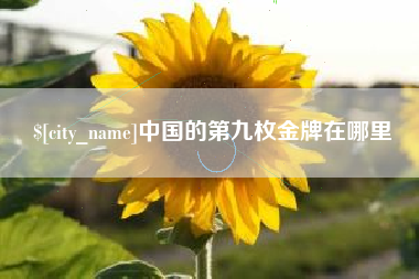 定安中国的第九枚金牌在哪里