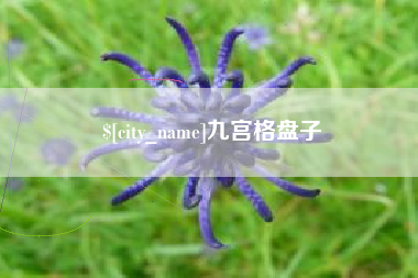 定安九宫格盘子