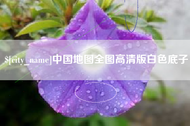 定安中国地图全图高清版白色底子