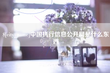 定安中国执行信息公开网是什么东西