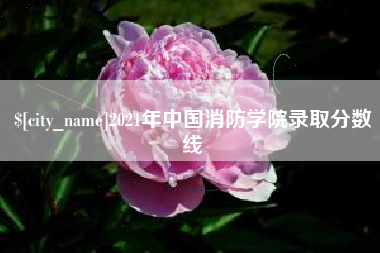 定安2021年中国消防学院录取分数线