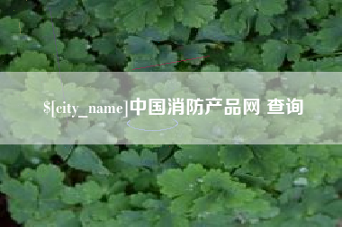 定安中国消防产品网 查询