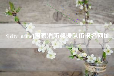 定安国家消防救援队伍报名网址