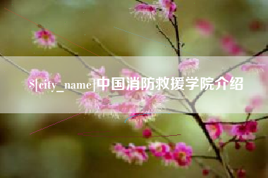 定安中国消防救援学院介绍