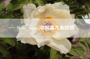 定安中国第九金回放