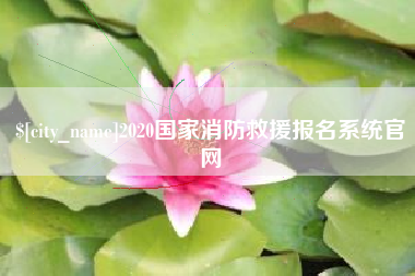 定安2020国家消防救援报名系统官网