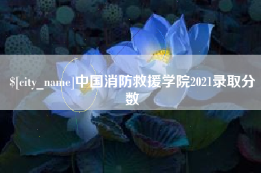 定安中国消防救援学院2021录取分数