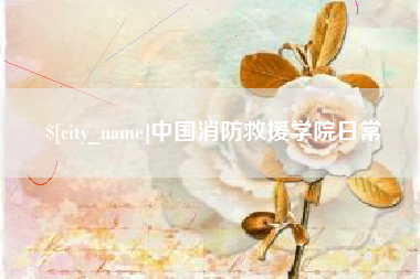 定安中国消防救援学院日常
