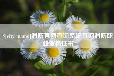 定安消防官网查询系统查询消防职业资格证书