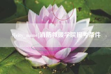 定安消防救援学院报考条件