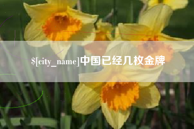 定安中国已经几枚金牌