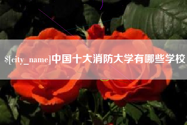 定安中国十大消防大学有哪些学校