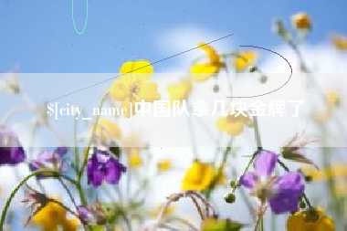 定安中国队拿几块金牌了