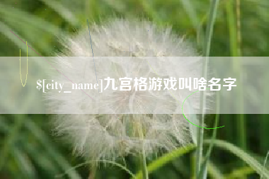 定安九宫格游戏叫啥名字
