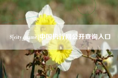 定安中国执行网公开查询入口