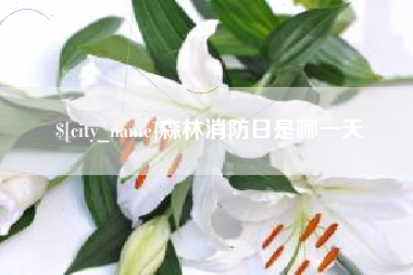 定安森林消防日是哪一天