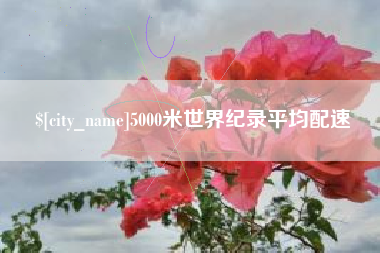 定安5000米世界纪录平均配速