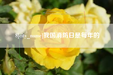 定安我国消防日是每年的