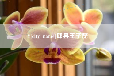 定安邱县王子磊
