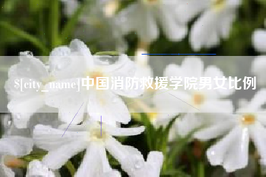 定安中国消防救援学院男女比例