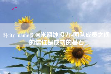 定安5000米滑冰接力-团队成员之间的信任是成功的基石