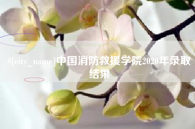 定安中国消防救援学院2020年录取结果