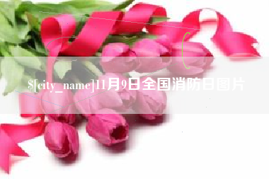 定安11月9日全国消防日图片