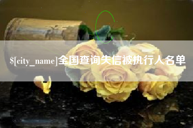 定安全国查询失信被执行人名单