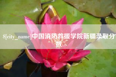 定安中国消防救援学院新疆录取分数