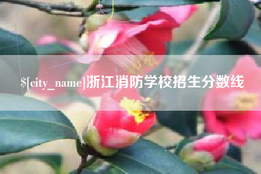 定安浙江消防学校招生分数线