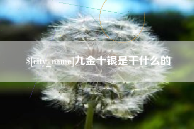 定安九金十银是干什么的