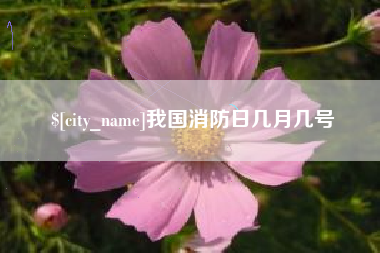 定安我国消防日几月几号