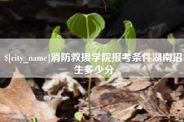定安消防救援学院报考条件湖南招生多少分