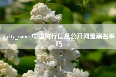 定安中国执行信息公开网是黑名单吗