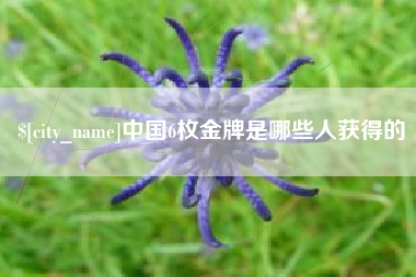 定安中国6枚金牌是哪些人获得的