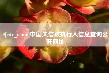定安中国失信被执行人信息查询公开网址